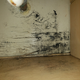 Illustration for article titled Help with mold and mystery leak